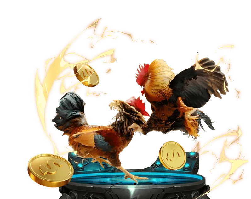 Cá cược thể thao Kclub